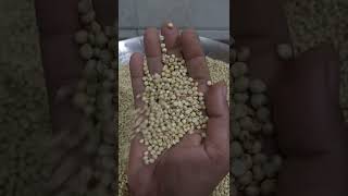 Jawari(जवारी)||Sorghum Seeds|| #Jawari #sorghumseeds#farhanacooking