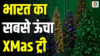 भारत का सबसे Tallest Christmas Tree, 3 लाख में होती है देख-रेख, इसे Tree of Hope भी कहते हैं