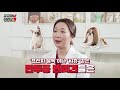 견종별 사료 꼭 견종에 맞춰 먹여야 될까 ㅣ궁금하냥🐱 이리오개🐶 _ep.09