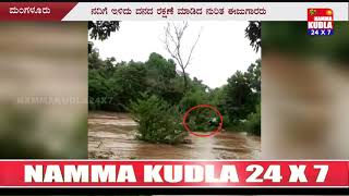 ವೇಣೂರು ನದಿಯಲ್ಲಿ ಕೊಚ್ಚಿ ಹೋಗುತ್ತಿದ್ದ ಆಕಳನ್ನು ಜೀವದ ಹಂಗು ತೊರೆದು ರಕ್ಷಿಸಿದ ಇಮ್ತಿಯಾಜ್ - ಹಸನಬ್ಬ..!