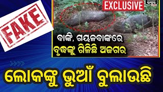 Fake Exclusive News : ଅଜଗର ପେଟରେ କଟକ ବାଙ୍କୀ ଅଞ୍ଚଳର ବୃଦ୍ଧ ବ୍ୟବସାୟୀ