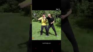 5 BEST Tai Chi Moves & Technique for Self Defense Part 3 #shorts