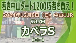 2024/12/8(日) 第17回カペラステークス(GIII) データ分析動画