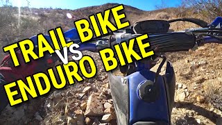 Trail Bike vs Enduro Bike - Can the TTR 230 Keep Up? (You Might be Surprised!)