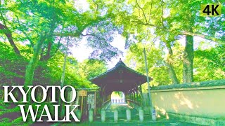 【京都散策】裏道を通って、泉涌寺、東福寺周辺を歩く【4K】 Kyoto Japan Walk