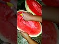 పుచ్చకాయ సింపుల్ గా కట్ చేసుకోండి ఇలా watermelon simple cutting hacks colourful