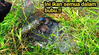 Lama tak di pasangin bubu tak di sangka udah banyak aja ikan disini/bubu hampir penuh lele semua