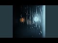 Raindrops