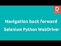 Python Selenium Navigation Back Forward Button