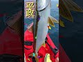 今シーズン1発目❗　ヒラマサ‼️amberjack