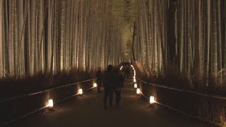 渡月橋や竹林、幻想的に 京都・嵐山ライトアップ