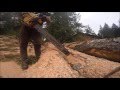 POWER SAW KICK BACK POWER SAW KICK BACK