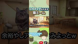 ミラティブ配信者あるある　#猫ミーム #猫マニ #新人vtuber