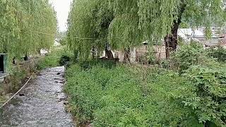 River of Vanadzor