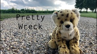 Pretty Wreck - Webkinz Music Video