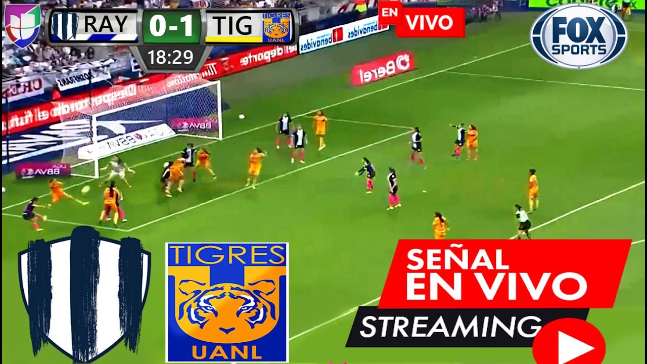 Monterrey Vs Tigres En Vivo | Partido Hoy Rayadas Vs Tigres En Vivo Ver ...