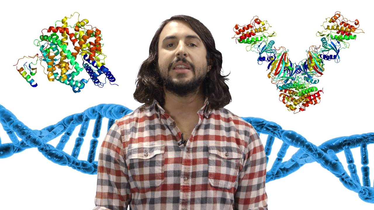 Introduction To Biochemistry - YouTube