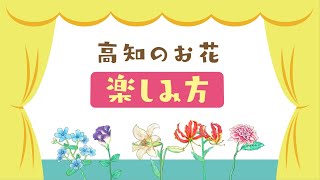 【高知の花】高知のお花の楽しみ方 「楽しみ方編」 【花のある暮らし】