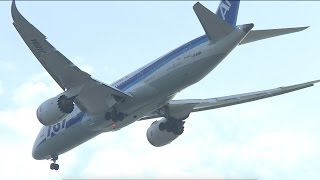 【着陸】 ７８７飛行機の着陸シーン 【東京ゲートブリッジ】 【翼公園】 【ANA】 【羽田空港】