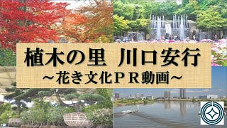 PR動画「植木の里　川口安行（The Village of Garden Plant  Angyo Kawaguchi）」（日本語版）