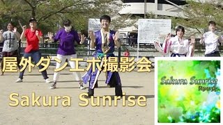 【屋外ダンエボ撮影会】Sakura Sunrise