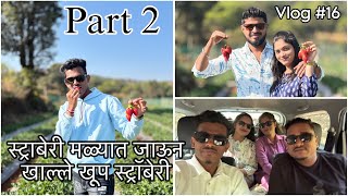 स्ट्रॉबेरी मळ्यात जाऊन खाल्ले खूप स्ट्रॉबेरी || Part 2 || Mayuresh Mhatre Vlogs