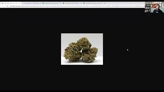 Deep Dive - Cherry Pie