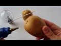 free energy light bulbs 220v using potato