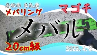 メバリング 高松市 牟礼港(役戸港) 2023.4.8