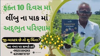 લીંબુ ના પાક માં માત્ર 10 દિવસ માં G-master થી મળ્યું અદભુત પરિણામ😱😱😱 !! #ખેડૂત #farming #lemon