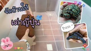 Turtle Story เต่าญี่ปุ่น | EP.40 🏠 มาจัดบ้านให้เต่าญี่ปุ่นกันเถอะ (แบบง่ายๆ)