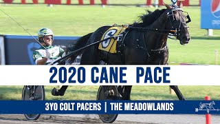 2020 Cane Pace - Tall Dark Stranger