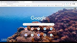 How to Connect React JS With MySQL Database using Node JS Express js