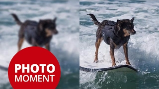 DFD (Depth from Defocus) on GH5 Explained — PhotoJoseph’s Photo Moment 2017-03-06
