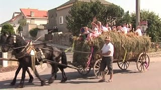 Velké Hoštice - Dožínky www.Hlucinsko.TV