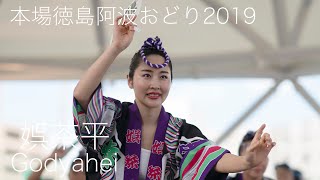 本場徳島阿波おどり・娯茶平_アミコドーム②_20190813 Awaodori in Tokushima Japan