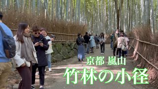 2023年3月19日 京都嵐山 外国人観光客で賑わう竹林の小径を歩く Walking around Path of bamboo 【4K】