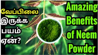 வேப்பிலை பொடி பயன்கள்| Neem powder benefits in tamil| veppilai benefits| neem leaves benefits #sugar