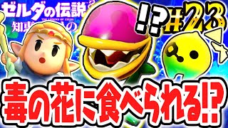 毒の植物バイオデクババに大苦戦しました…ジャブール遺跡のボスを追え!!最速実況Part23【ゼルダの伝説 知恵のかりもの】