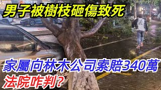 北京一男子被樹枝砸傷致死，家屬向林木公司索賠340萬，法院咋判？【奇聞探索者】#奇聞#故事#奇聞觀察室#案件解讀#情感#家庭矛盾