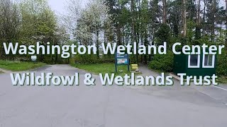 Washington Wetland Centre - Wildfowl and Wetlands Trust