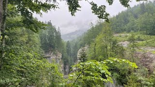 🇦🇹 Австрия. Ущелье Раппенлох. Озеро Штауфенсее. Österreich. Rappenlochschlucht. Staufensee.