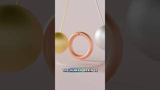 Mind Blowing Facts You Never Thought About