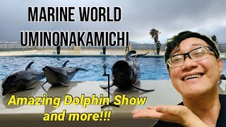 Marine World Uminonakamichi | Higashi Fukuoka | Amazing Dolphin and Funny Sea Lion Show in Japan