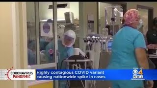 Highly contagious COVID variant causing nationwide spike in cases