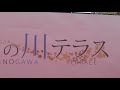 2018 08 04 ミス絞り『安城七夕まつり2018』