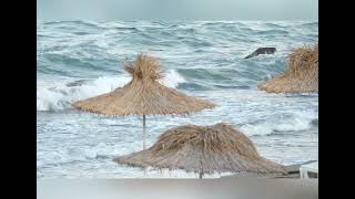 Enjoy the relaxing beach videos | Beautiful beach | seashores relaxing peaceful video