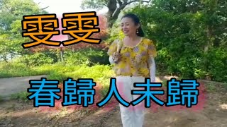 共享好歌(有字幕) 雯雯~春歸人未歸