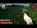 THE ISLE | The life of the TROODON | Playing as a TROODON is absolutely MENTAL!