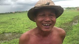 Village Farmer Life in Myanmar 🇲🇲